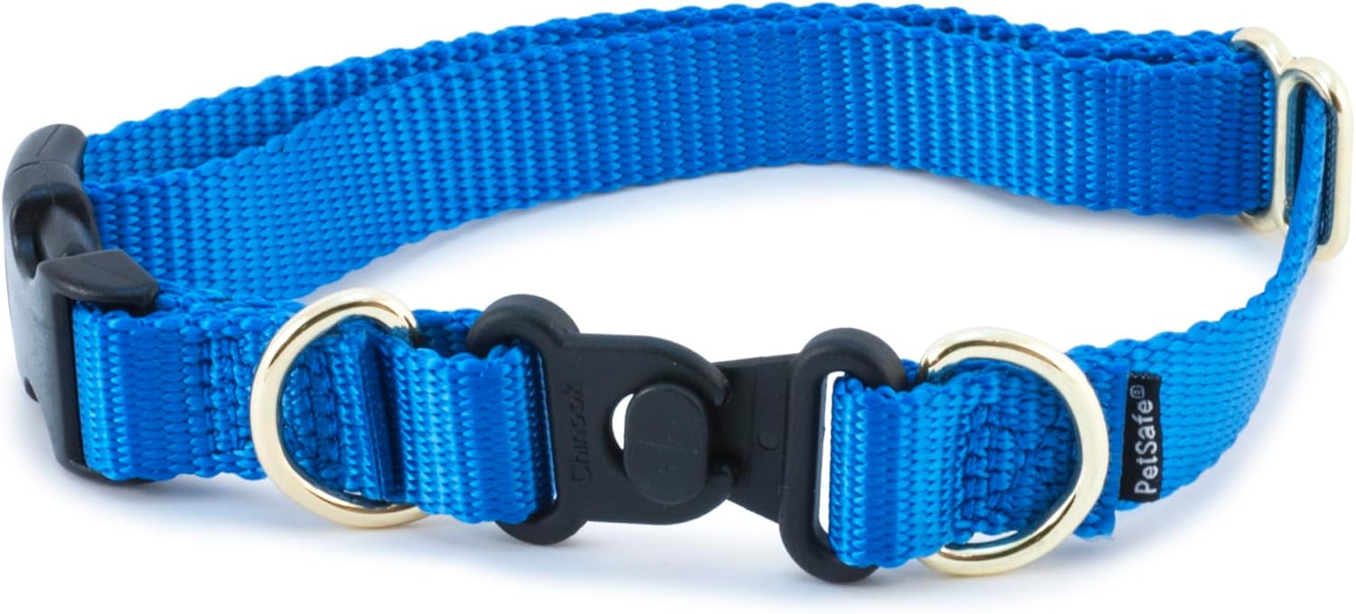 PetSafe KeepSafe BreakAway Collar Adjustable Size Medium 1in Royal Blue