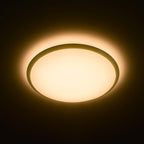 Philips Lighting Wawel 36W Ceiling Light With Scene Switch 480mm Tunable Ceiling Lamp