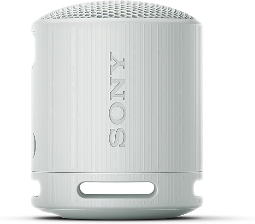 Sony XB100 Portable Wireless Speaker