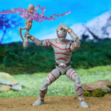 Power Rangers Lightning Collection Wild Force Putrid 6inch Action Figure Troop Builder Toys and Action Figures for Kids Ages 4 and Up