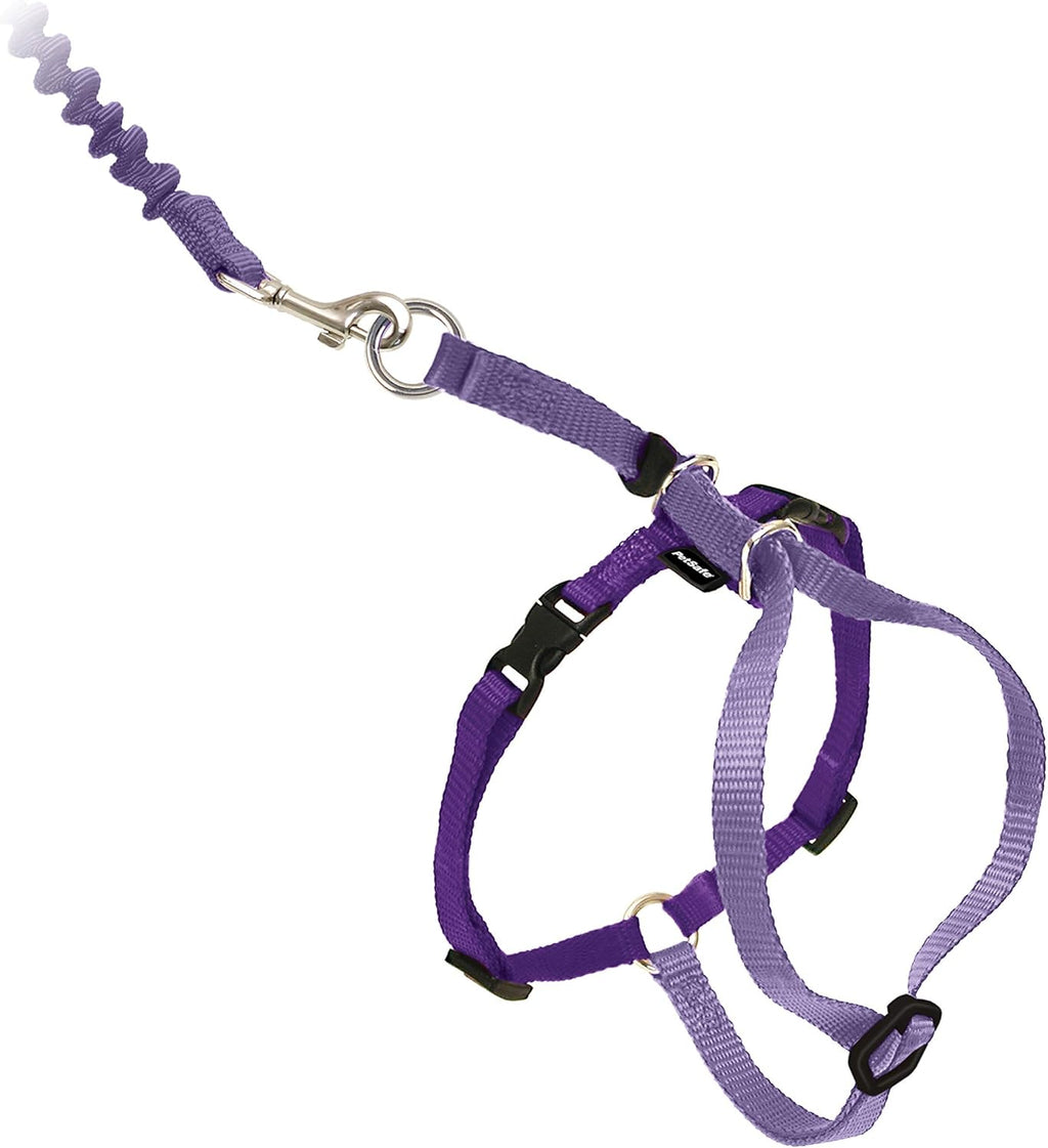 PetSafe Come With Me Kitty Harness And Bungee Leash For Cats Large LilacBright Purple