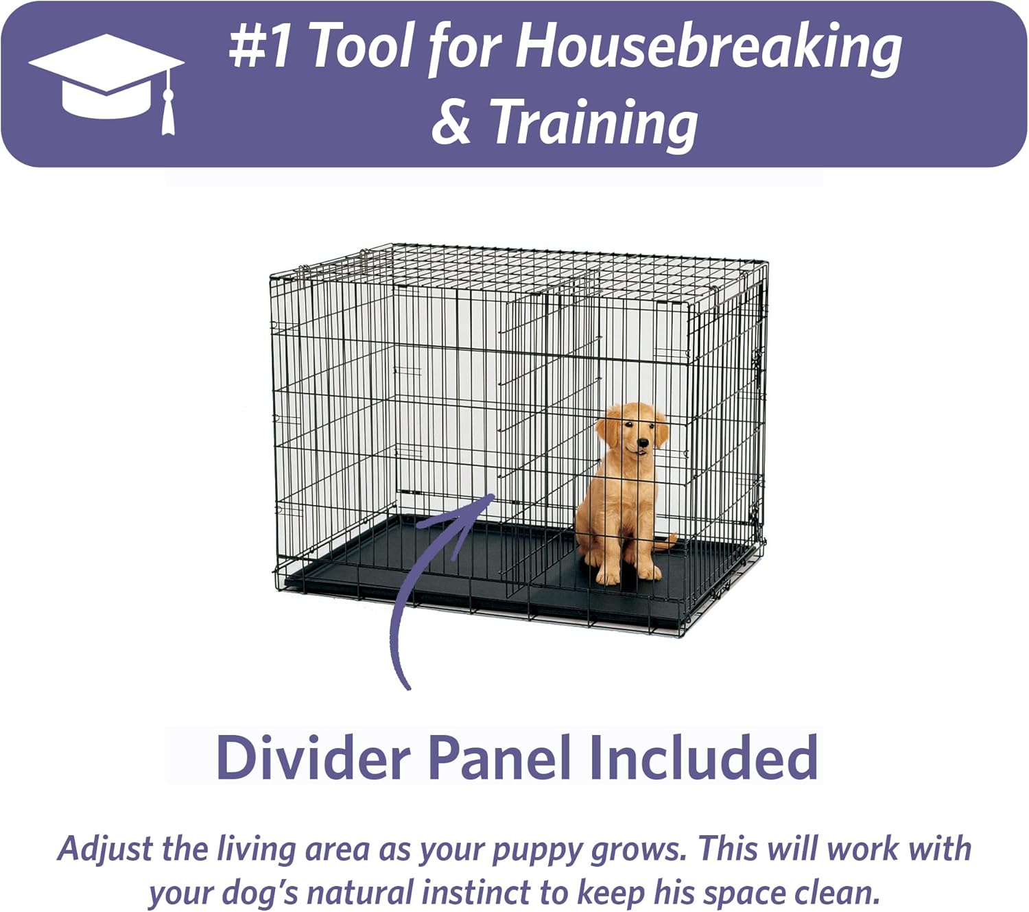 MidWest iCrate 36in Folding Metal Dog Crate With Divider Panel For Intermediate Dog Breed