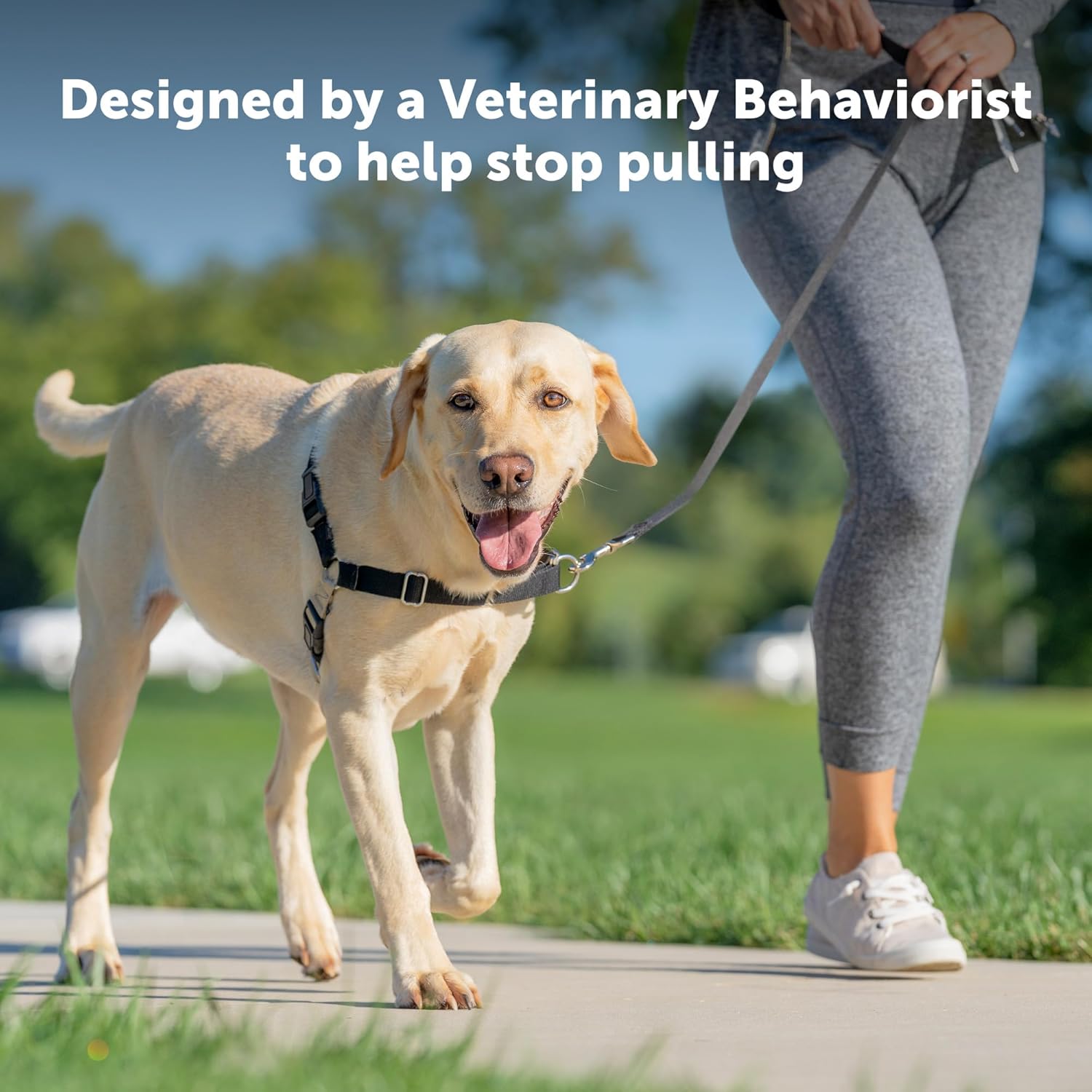 PetSafe Easy Walk NoPull Dog Harness Large TealGray Secondary image