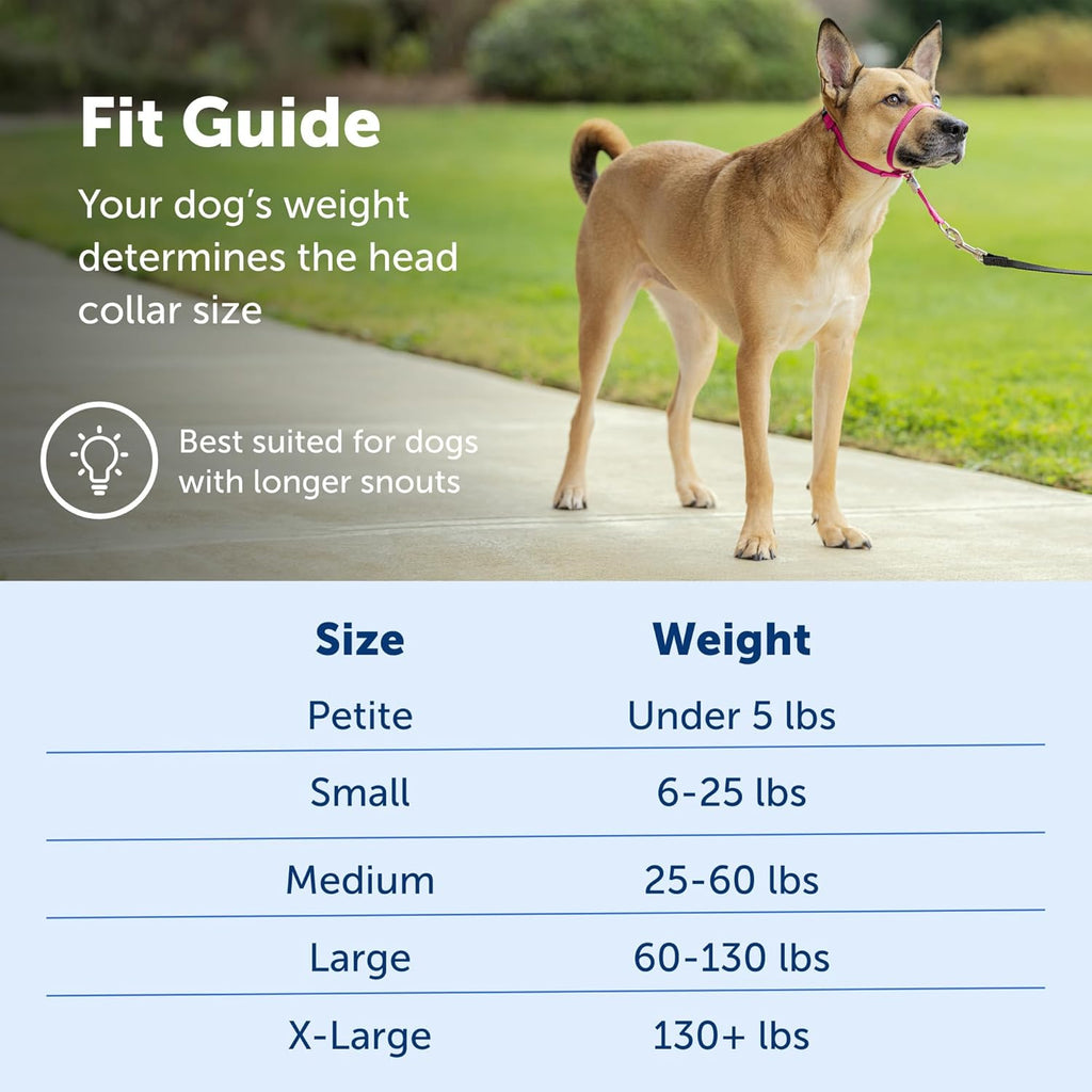 PetSafe Gentle Leader NoPull Dog Headcollar Medium Fawn