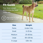 PetSafe Gentle Leader NoPull Dog Headcollar Medium Fawn