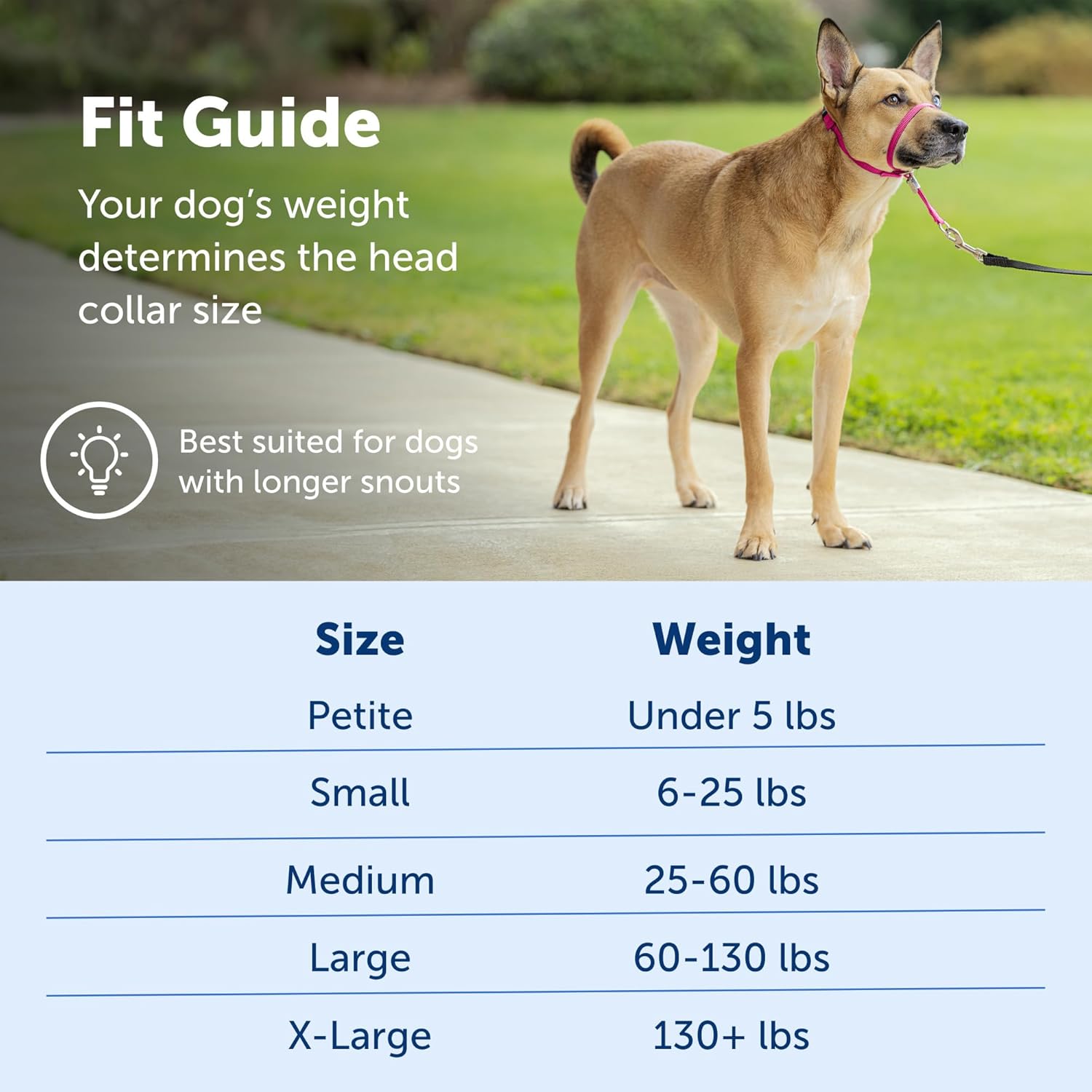 PetSafe Gentle Leader NoPull Dog Headcollar Medium Fawn