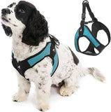 Gooby Escape Free Easy Fit Harness Small Dog StepIn Harness For Dogs That Like To Escape Their Harness Turquoise Small