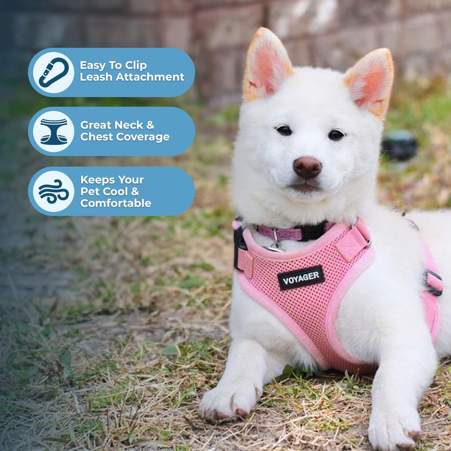 Voyager StepIn Lock Pet Harness Adjustable For Cats And Dogs Pink S