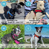 Gooby Escape Free Easy Fit Harness Small Dog StepIn Harness For Dogs That Like To Escape Their Harness Turquoise Small