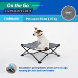 Coolaroo On The Go Elevated Pet Bed, Standard, Grey