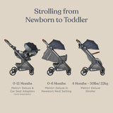 Ergobaby Metro+ Deluxe Compact Baby Stroller