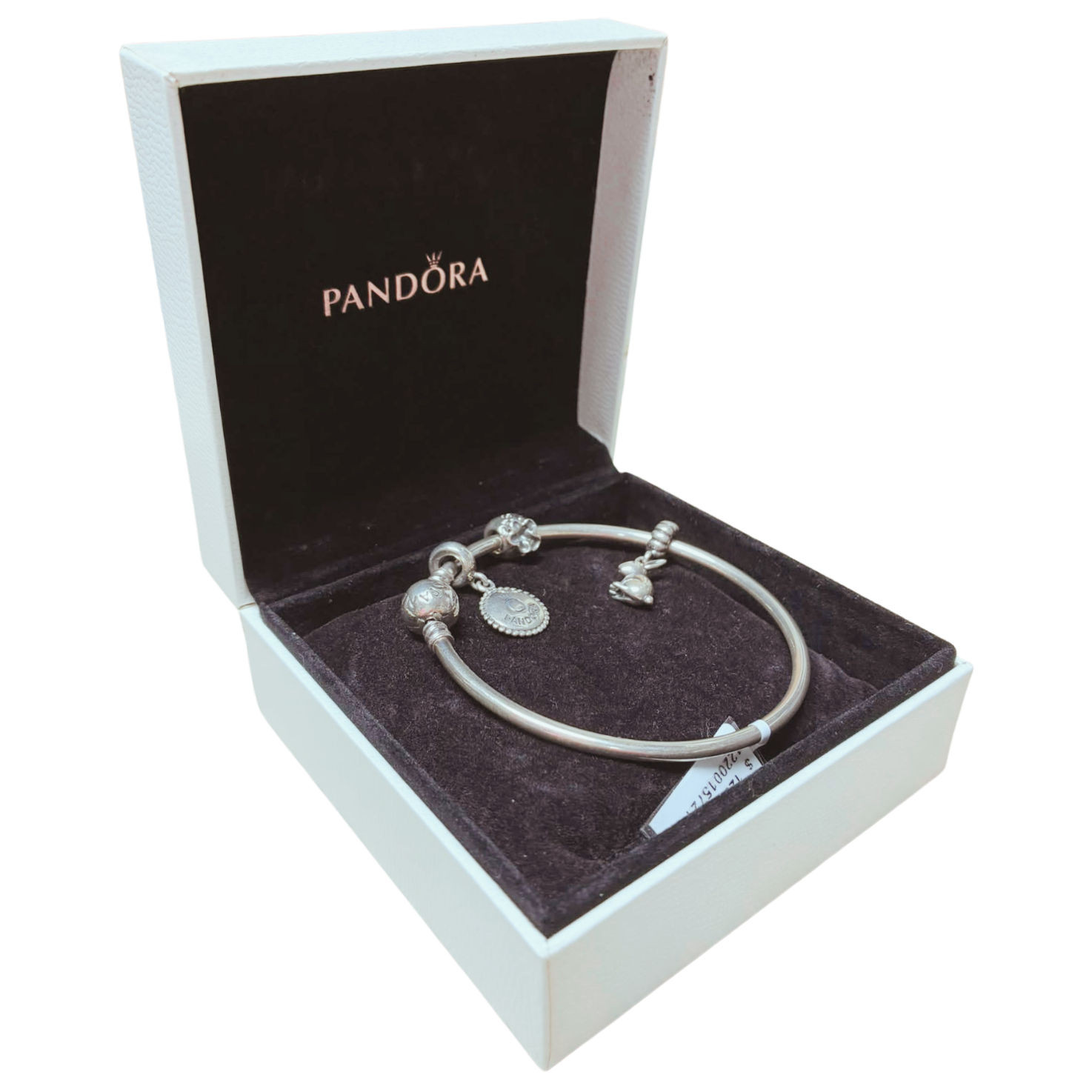Pandora Moments Bangle Bracelet Sterling Silver With 3 Charms