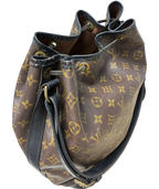 Louis Vuitton Noe Bucket Bag