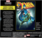 Hasbro Marvel Legends Series Marvels Rogue And Destiny XMen Comics Collectible 6 Inch Action Figures