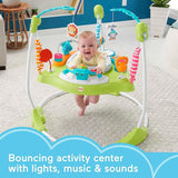 Fisher-Price Animal Wonders Jumperoo