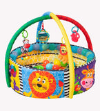Playgro 0184007 Ball Activity Nest