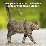 PetSafe Come With Me Kitty Harness And Bungee Leash Medium LilacDeepPurple