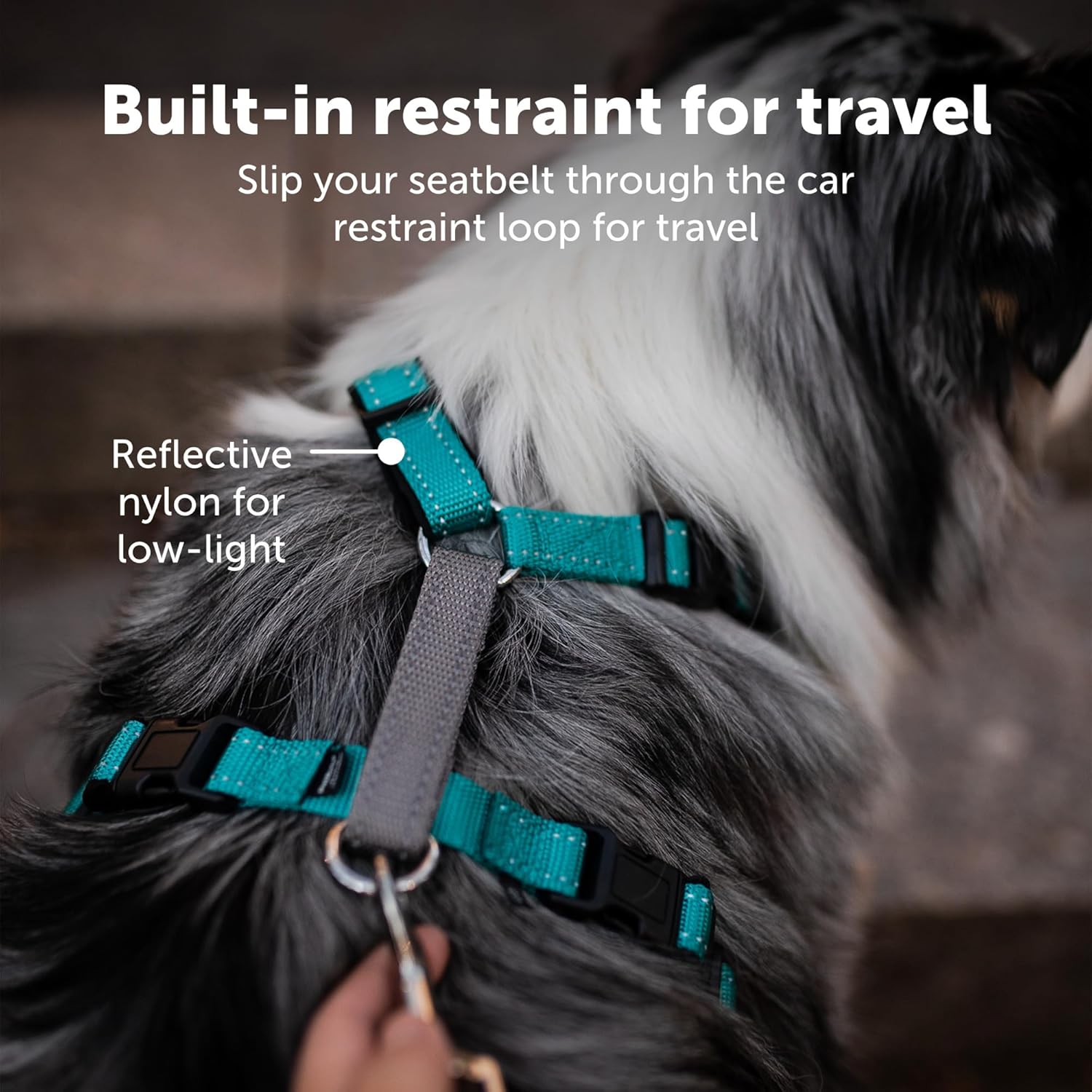 PetSafe 3 in 1 Dog Harness XSmall Teal