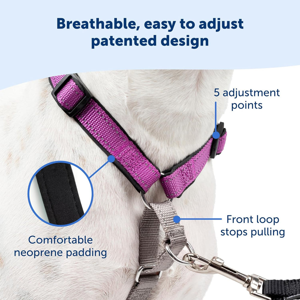 PetSafe 3 in 1 Dog Harness XSmall Teal