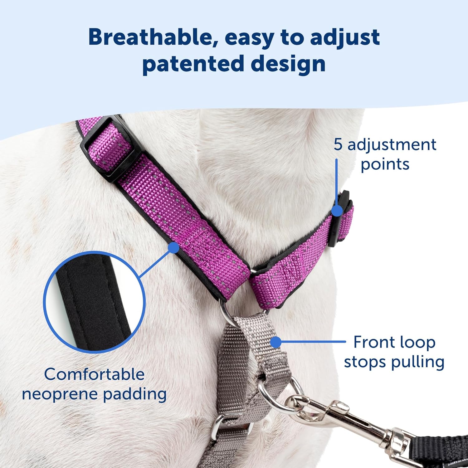 PetSafe 3in1 Dog Harness No Pull Solution For Dogs Plum Medium Secondary image