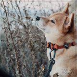 Made To ROAM Premium Dog Collar Adjustable Heavy Duty Nylon Collar With QuickRelease Metal Buckle Carolina Blooms Size 3