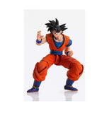 Bandai, TAMASHII NATIONS Son Goku Dragon Ball Z