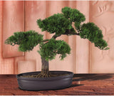 Nearly Natural 4106 16in. Cedar Bonsai Silk Plant,Green