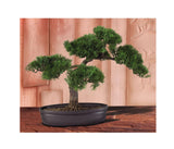 Nearly Natural 4106 16in. Cedar Bonsai Silk Plant,Green