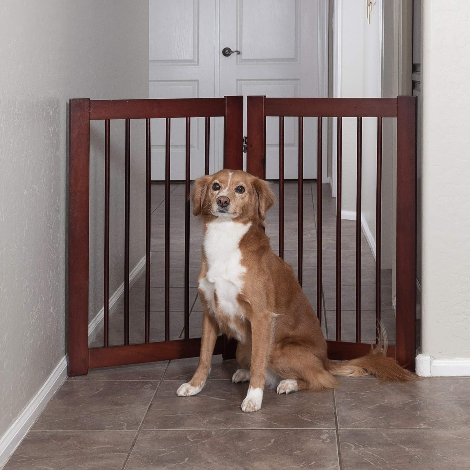 Primetime Petz 33233 Extension Kit For 360 Configurable Walk Through Folding Pet Gate Walnut 30in Secondary image