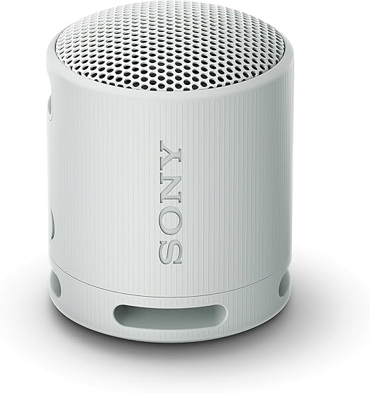 Sony XB100 Portable Wireless Speaker