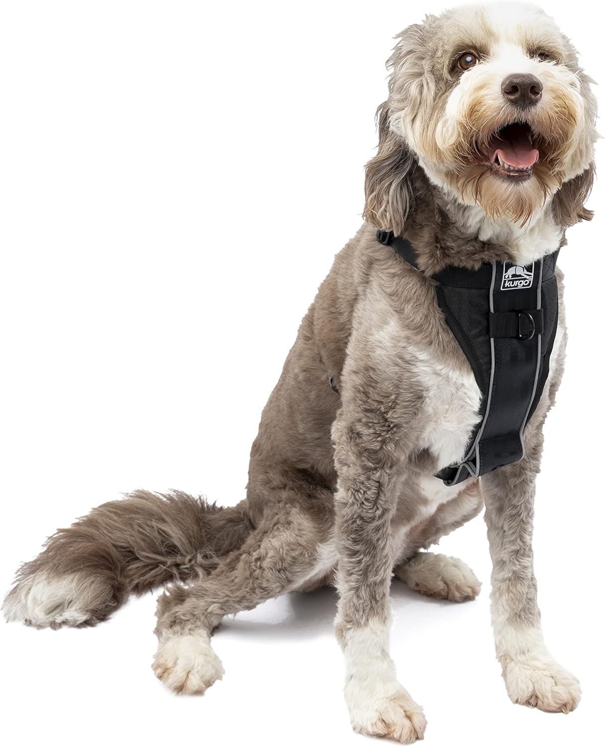 Kurgo TruFit Smart Harness Dog Harness Black XLarge Main image