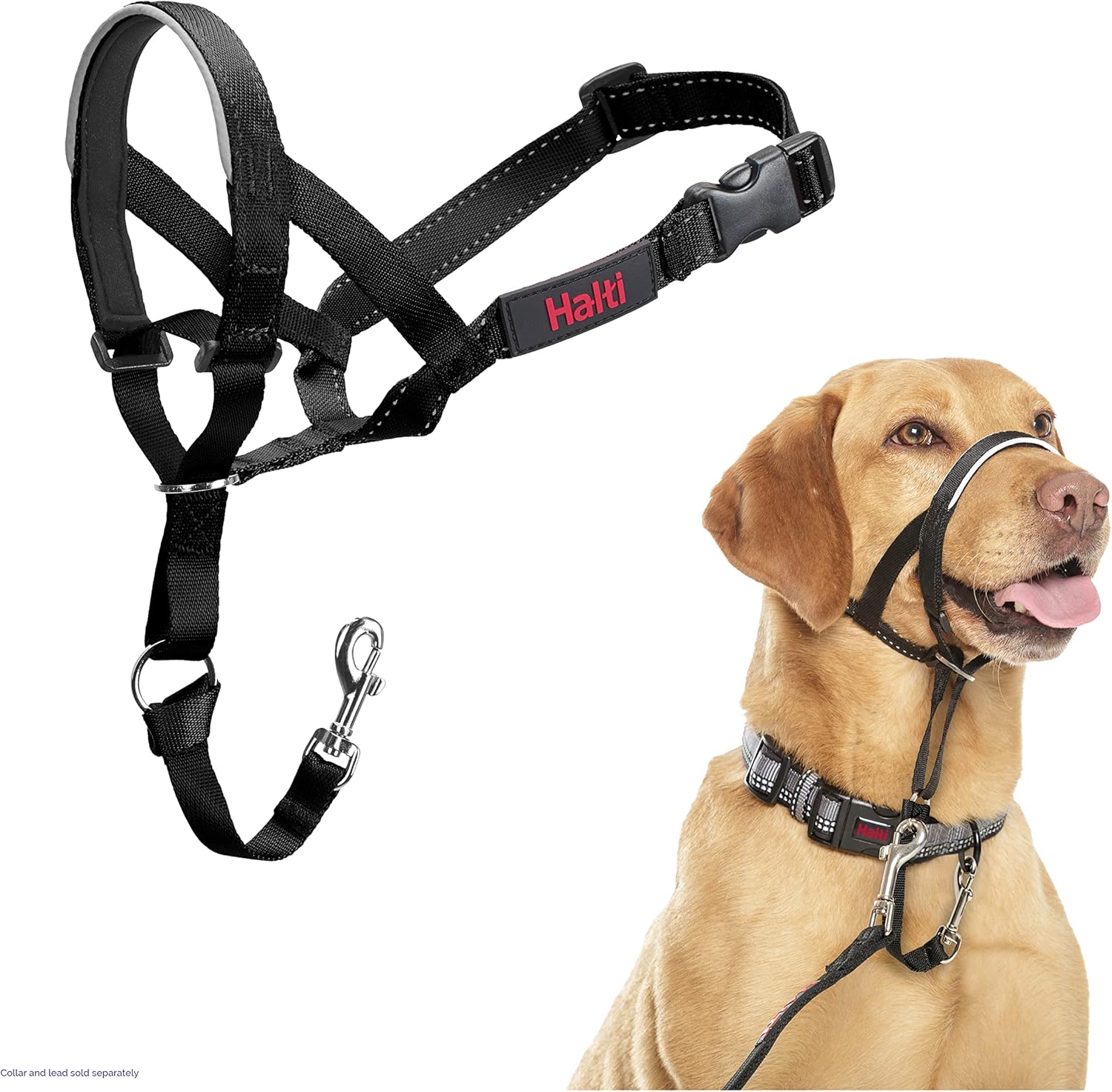 The Company Of Animals HALTI Headcollar Black Size 3 Main image