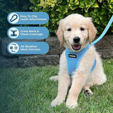 Best Pet Supplies Voyager Air All Weather Mesh StepIn Vest Harness For Small And Medium Baby Blue S