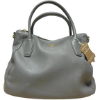 Prada Vitello Daino Hobo Tote
