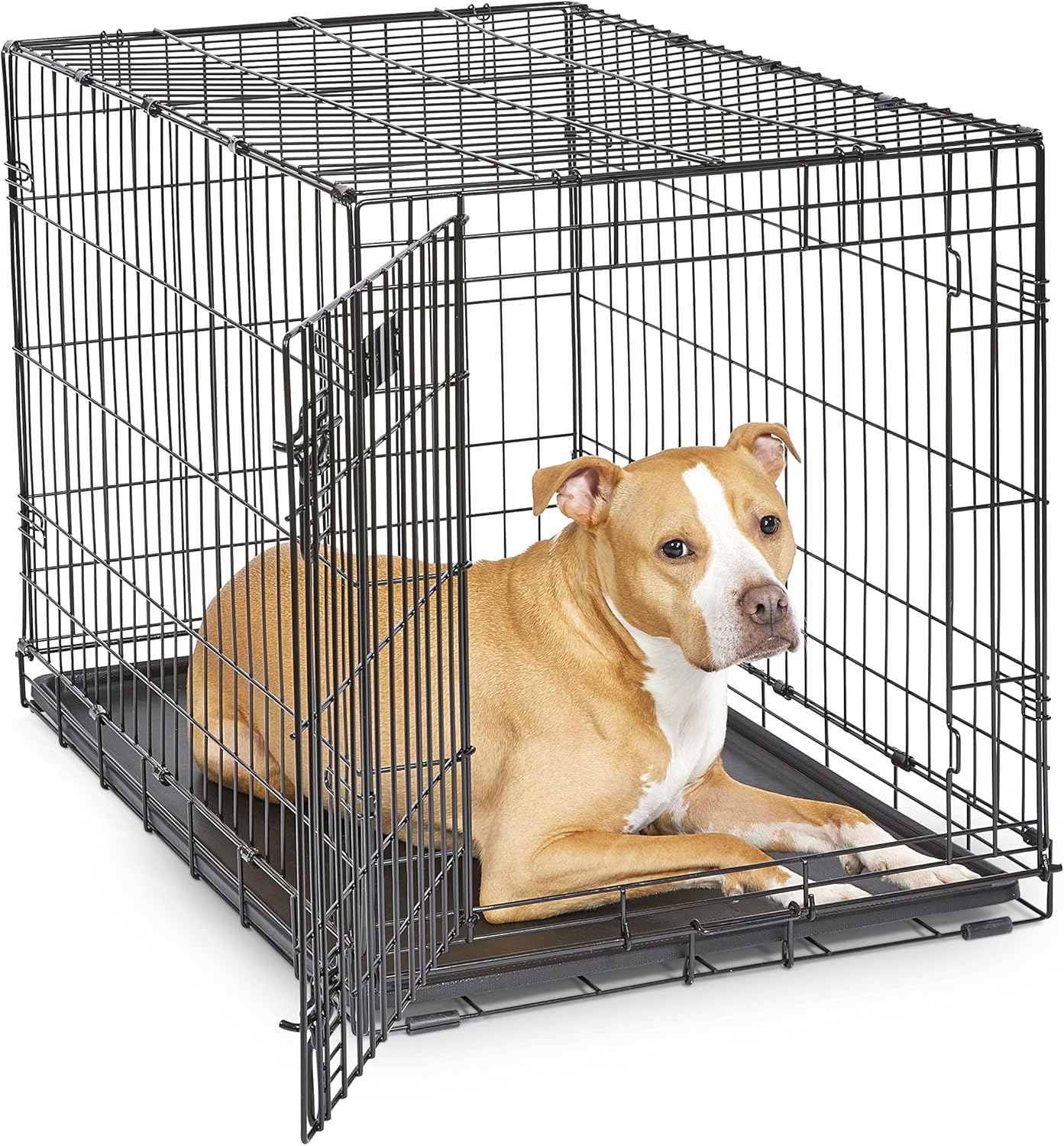 MidWest iCrate 36in Folding Metal Dog Crate With Divider Panel For Intermediate Dog Breed Main image