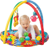 Playgro 0184007 Ball Activity Nest