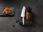 Zwilling Twin Fin II Chef's Knife 20CM