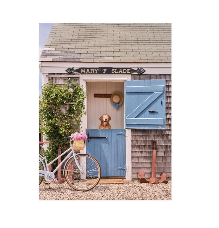 Gray Malin Nantucket 1000 Piece Book Box Puzzle