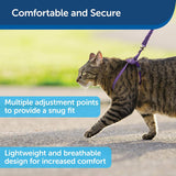 PetSafe Come With Me Kitty Harness And Bungee Leash For Cats Large LilacBright Purple