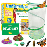 Insect Lore Giant Butterfly Garden with Voucher | 18 Inch Habitat | Life Cycle Figurines Included | Voucher to Redeem 5 Baby Caterpillars Later | Raise Painted Lady Butterflies