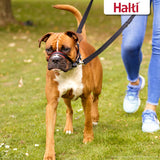 The Company Of Animals Halti Head Collar For Small Dogs BlackRed