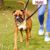 Halti Optifit Headcollar Size Medium, Bestselling Dog Head Harness to Stop Pulling on the Lead, Easy to Use, Adjustable & Reflective Head Collar for Dogs, Professional Anti-Pull Training Aid