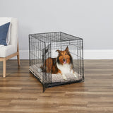 MidWest iCrate 36in Folding Metal Dog Crate With Divider Panel For Intermediate Dog Breed