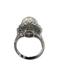 South Sea Pearl Platinum Ring