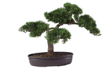 Nearly Natural Cedar Bonsai Silk Deco Plant