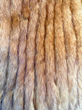 Ranced Mink Long Fur Coat