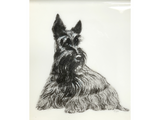 Hermes Scottish Terrier Porcelain PLLlate