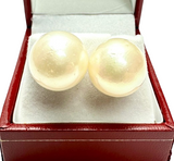 PT900 White Gold White Southsea Pearl Earring