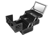 Shany Mini Make Up Train Case With Mirror