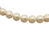 Golden South Sea Pearl Necklace